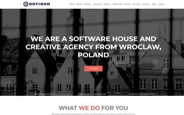 Strona internetowa wykonana dla softweare house Dotinum